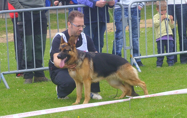 katja stand